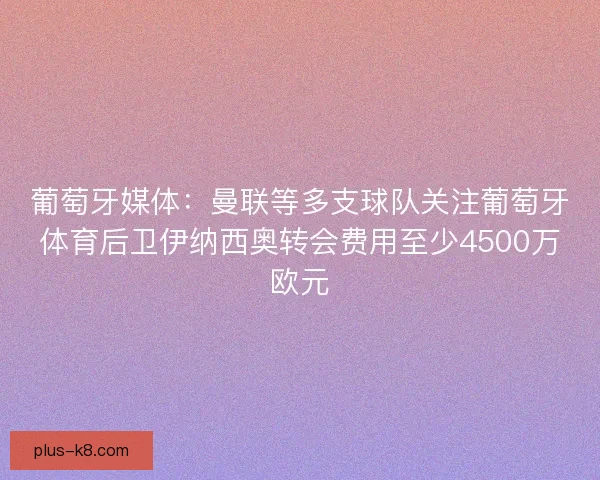葡萄牙媒体：曼联等多支球队关注葡萄牙体育后卫伊纳西奥转会费用至少4500万欧元